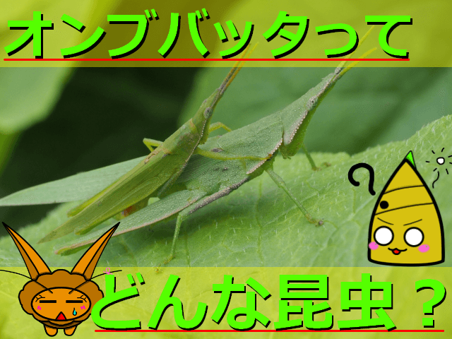 Thumbnail of post image 003